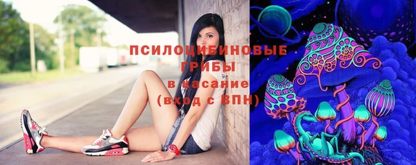PSILOCYBIN Покачи