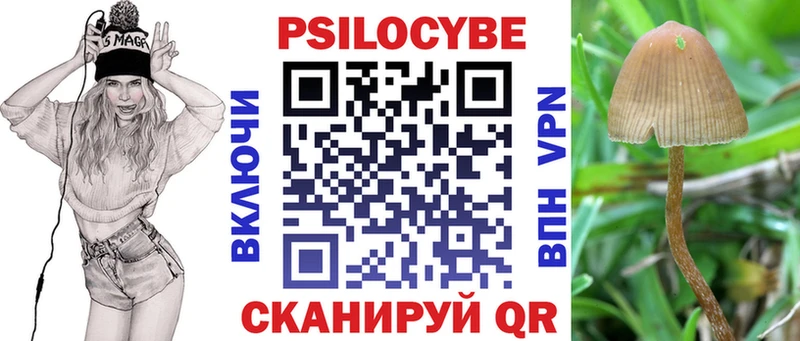 Псилоцибиновые грибы мухоморы  omg зеркало  Артёмовский 